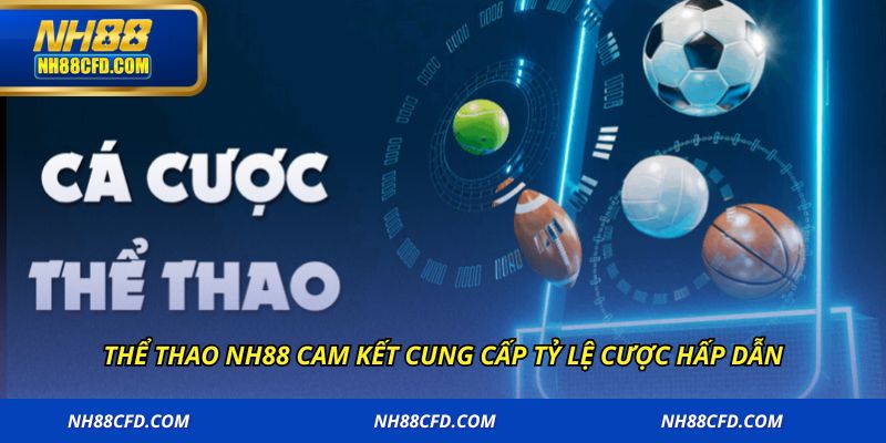 Thể thao NH88 cam kết cung cấp tỷ lệ cược hấp dẫn 