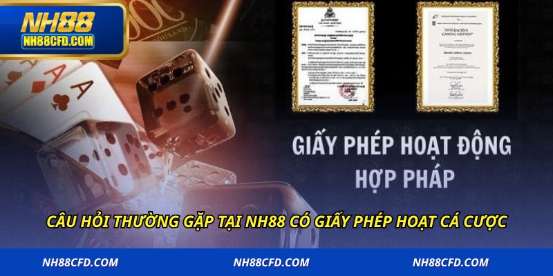 Câu hỏi thường gặp tại NH88 có giấy phép hoạt cá cược