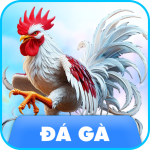 đá gà